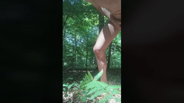 exhib45_hot  14-08-2022